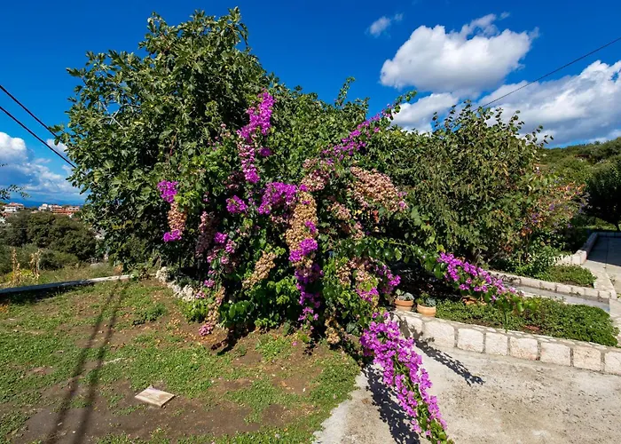 Apartamento 1 Bedroom Stunning In
