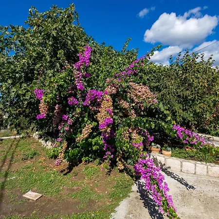 Apartament Stunning In With House Sea View